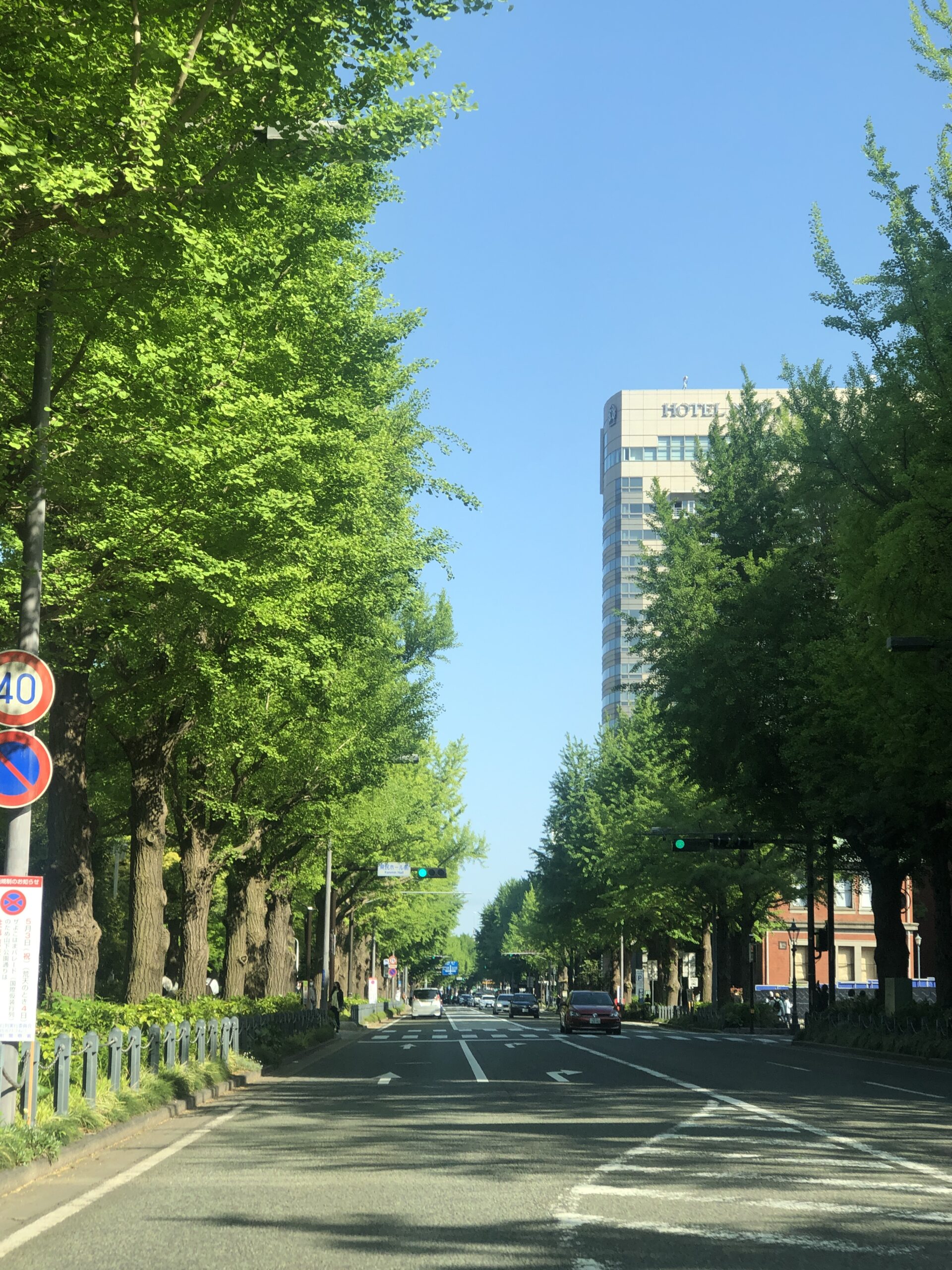 Ginko Road in Yokohama 