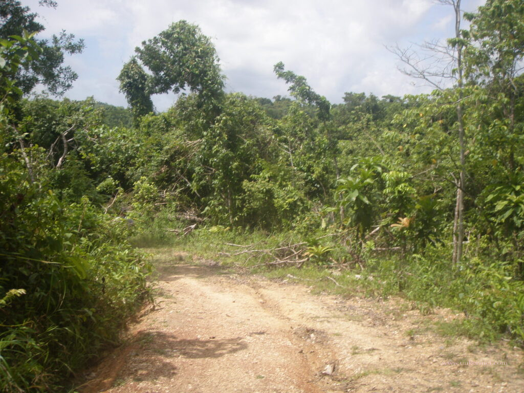 rough road