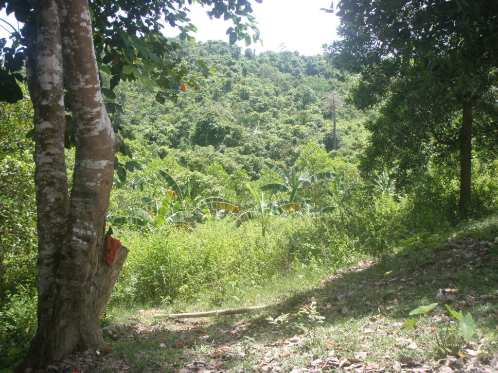 hills
