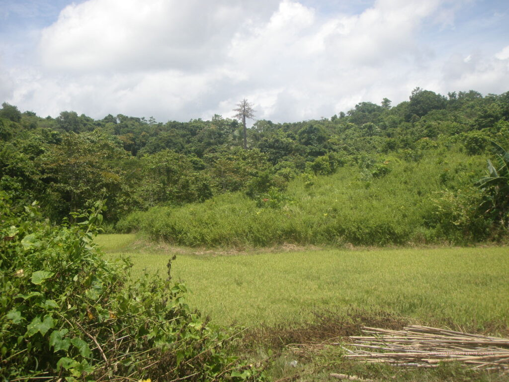 farmland surrounded by hills