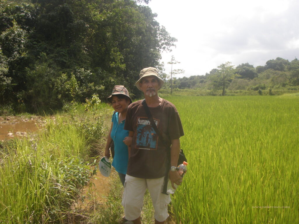 couple standing in the middle of farm