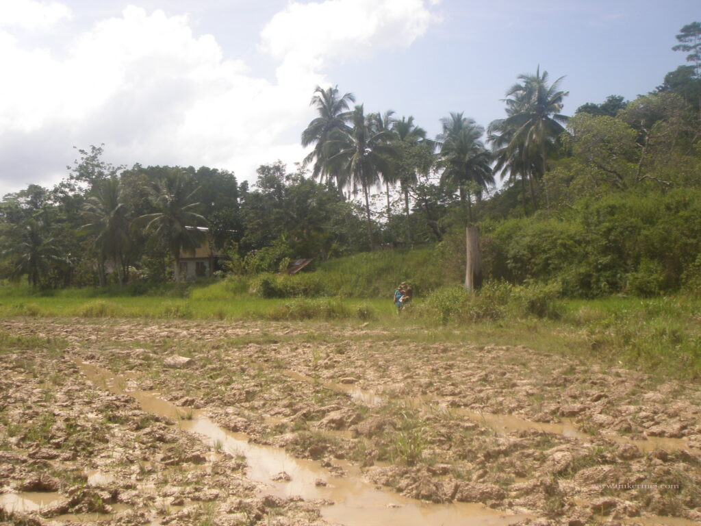 farmland