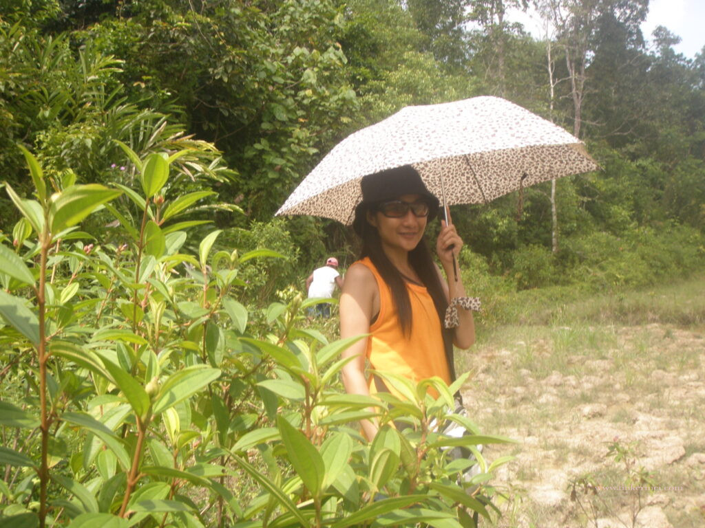 a girl in orange holding an umbrella in the middle of farm