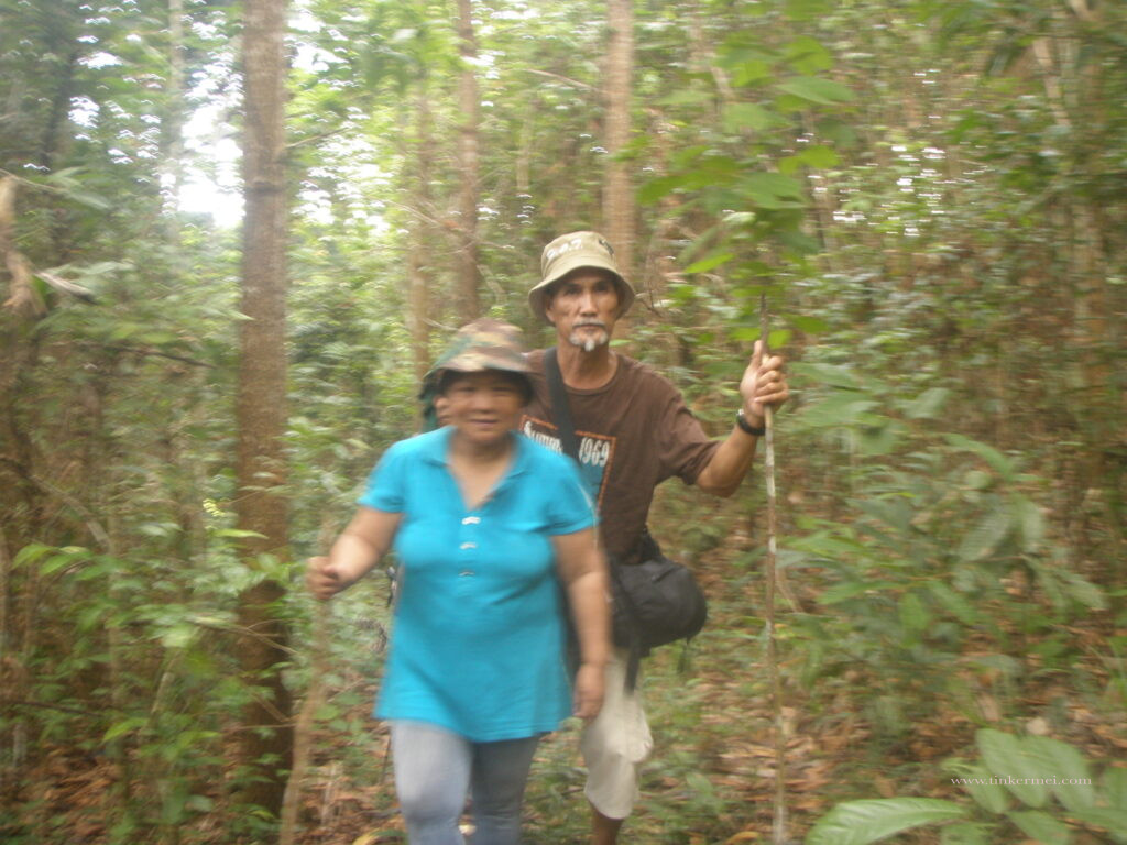 couple in the middle of greenery