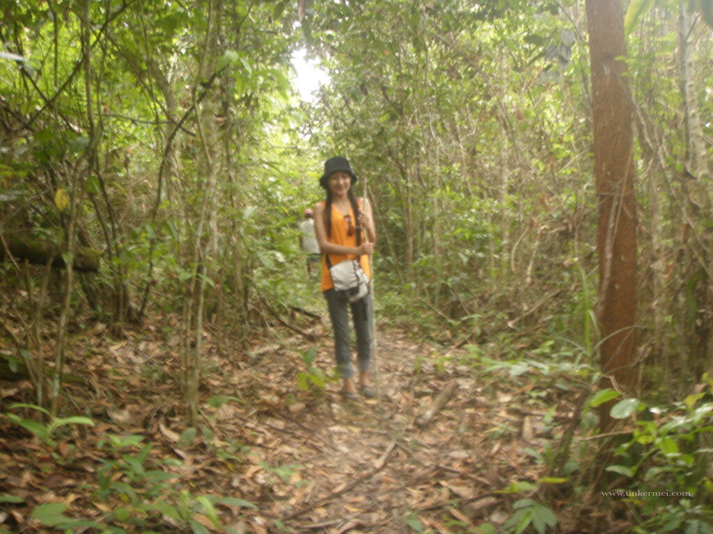 a girl standing in the middle of woods