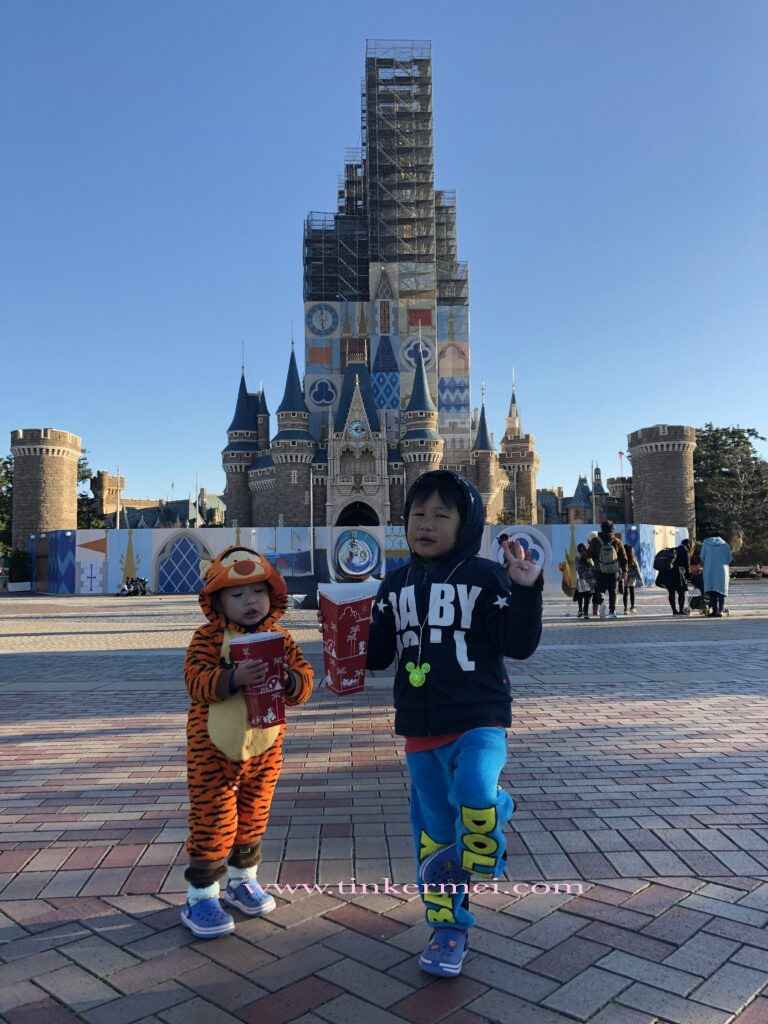 Tokyo Disneyland 2020