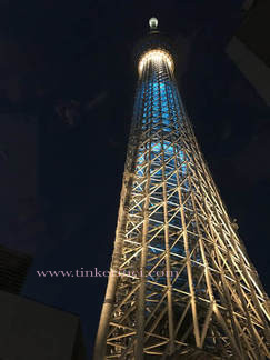 Tokyo Sky Tree in blue and white light up int he night.
