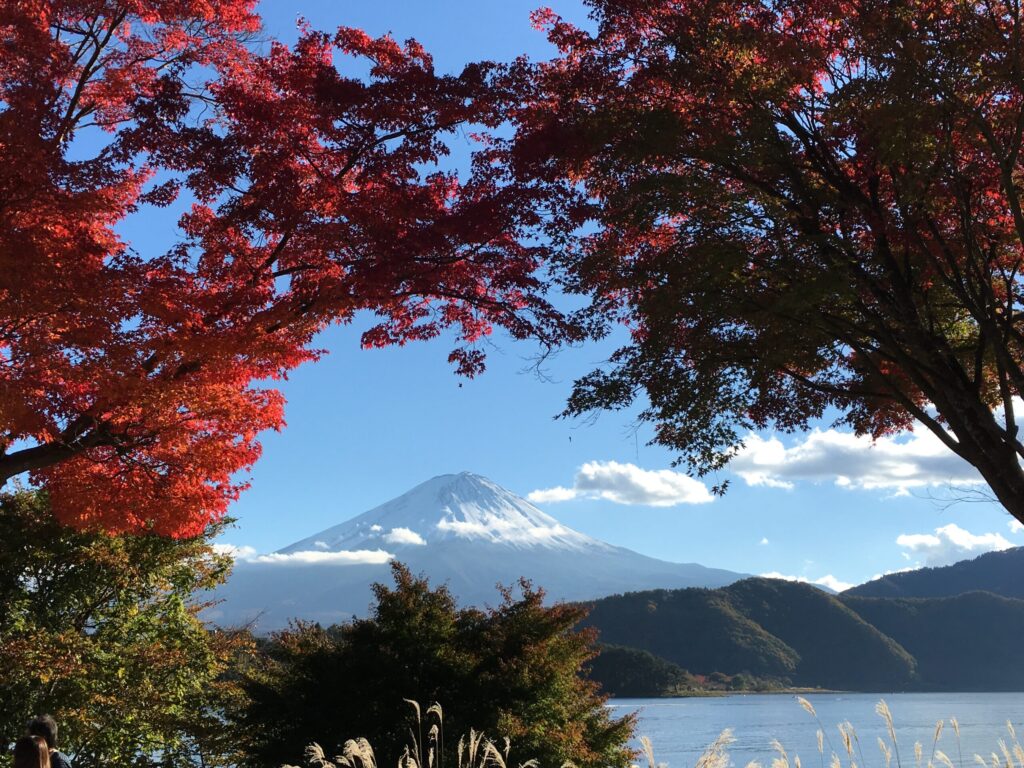 Family life and travel with kids in Japan