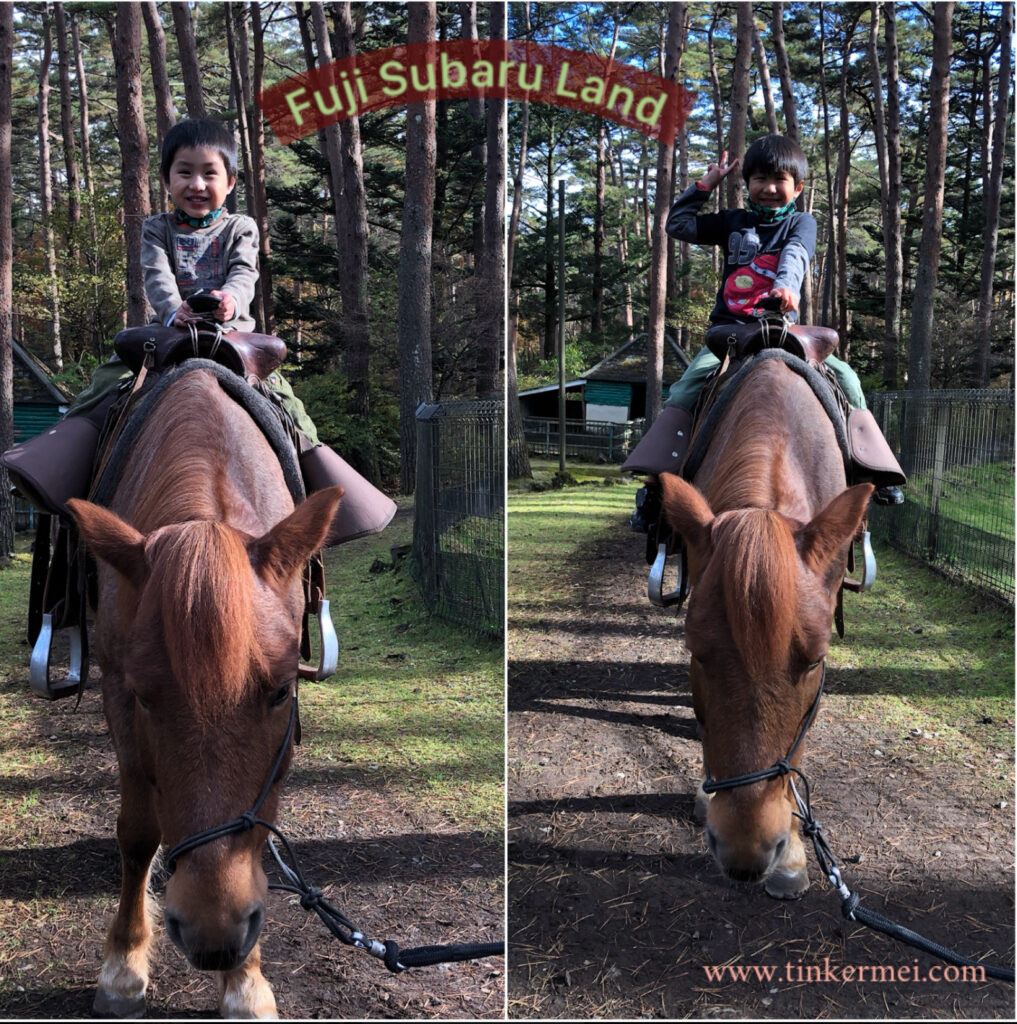 Kids horse riding at Subaru Land