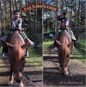 Kids horseback riding at Subaru Land